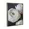 Stupell Industries Budding Ranunculus Flower Blooming Framed Floater Canvas Wall Art